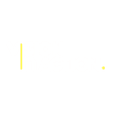 Vision in Action